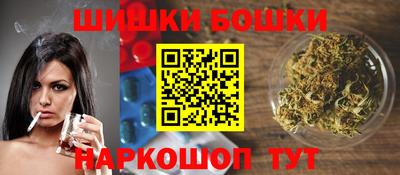spice Камышлов