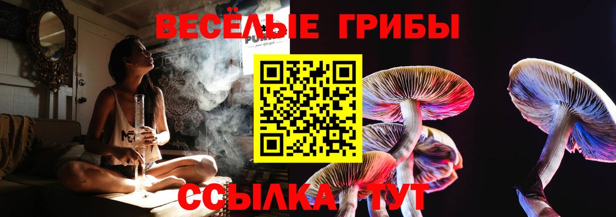 Галлюциногенные грибы мухоморы Майкоп